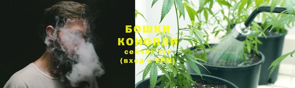 PSILOCYBIN Елизово